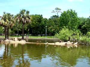 Duck Pond Riverside Park